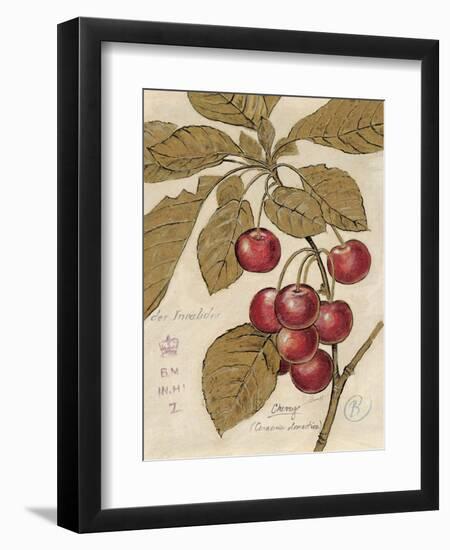 Cherry Etching-Chad Barrett-Framed Art Print