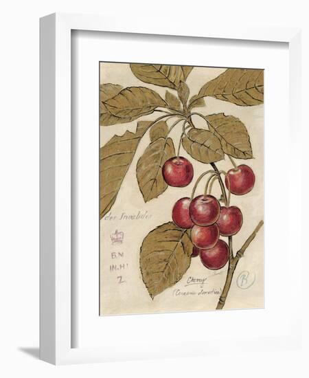 Cherry Etching-Chad Barrett-Framed Art Print