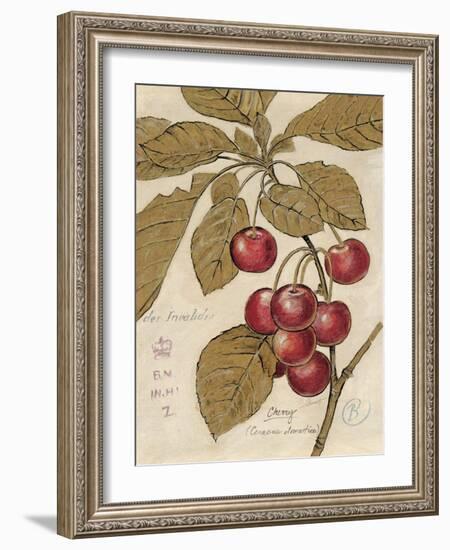 Cherry Etching-Chad Barrett-Framed Art Print