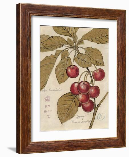 Cherry Etching-Chad Barrett-Framed Art Print