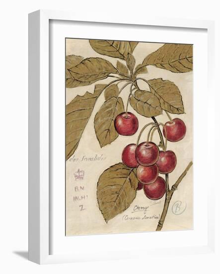 Cherry Etching-Chad Barrett-Framed Art Print