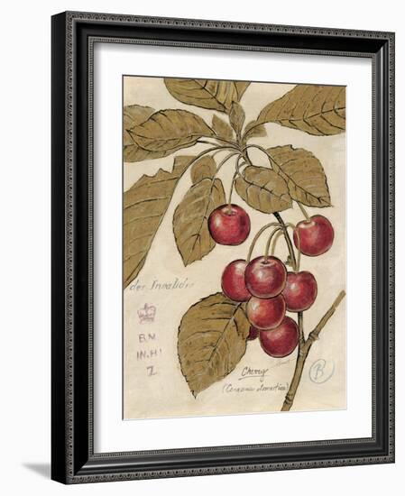 Cherry Etching-Chad Barrett-Framed Art Print