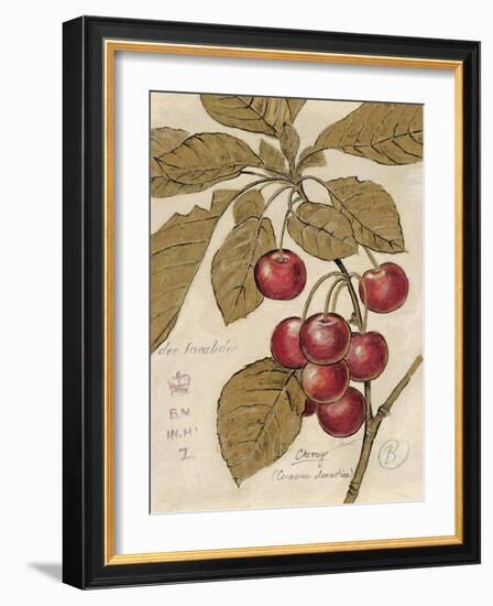 Cherry Etching-Chad Barrett-Framed Art Print