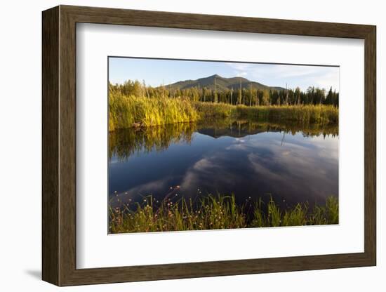 Cherry Mountain, Pondicherry NWR, White Mountains, New Hampshire-Jerry & Marcy Monkman-Framed Photographic Print