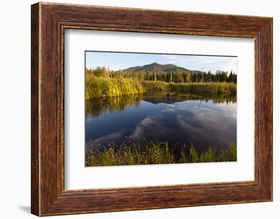 Cherry Mountain, Pondicherry NWR, White Mountains, New Hampshire-Jerry & Marcy Monkman-Framed Photographic Print