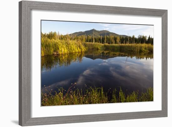 Cherry Mountain, Pondicherry NWR, White Mountains, New Hampshire-Jerry & Marcy Monkman-Framed Photographic Print