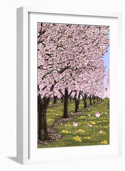 Cherry Orchard Blossoms-Lantern Press-Framed Art Print