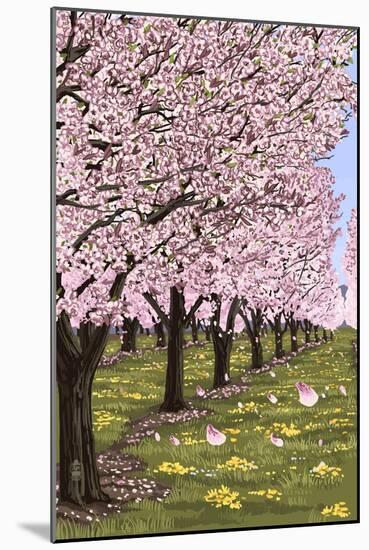 Cherry Orchard Blossoms-Lantern Press-Mounted Art Print