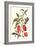 Cherry Pepper and Tobacco Hornworm with Five Spotted Hawkmoth-Maria Sibylla Merian-Framed Premium Giclee Print