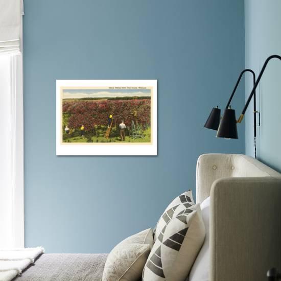 Cherry Picking Door County Wisconsin Art Print By Art Com