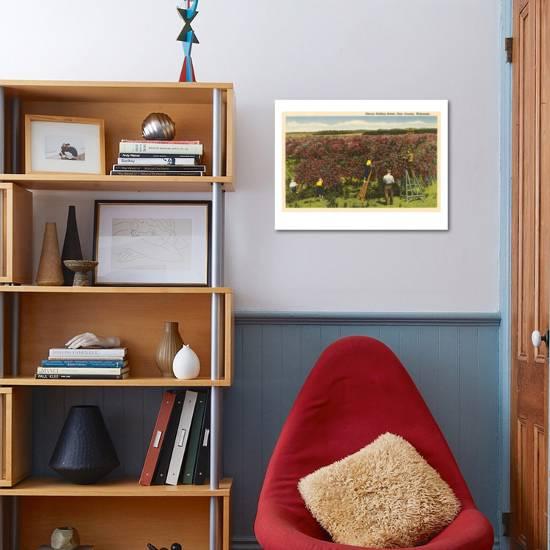 Cherry Picking Door County Wisconsin Art Print By Art Com