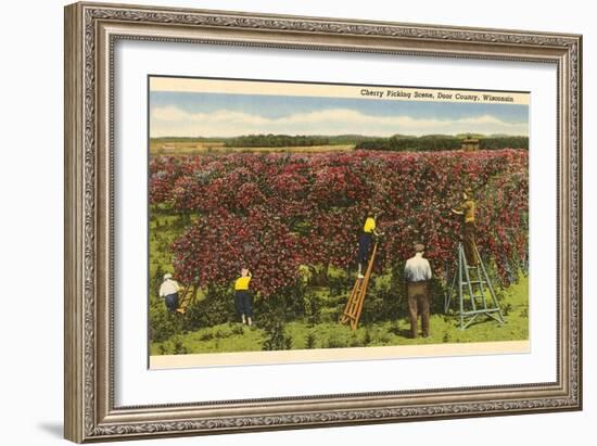 Cherry Picking, Door County, Wisconsin-null-Framed Art Print