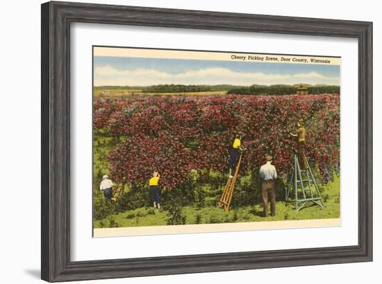 Cherry Picking, Door County, Wisconsin-null-Framed Art Print