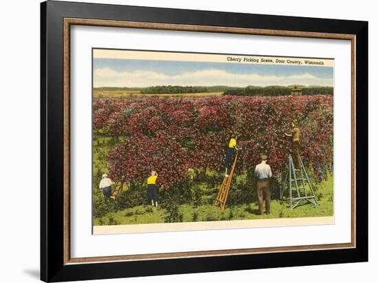 Cherry Picking, Door County, Wisconsin-null-Framed Art Print
