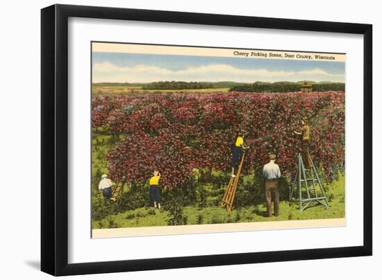 Cherry Picking, Door County, Wisconsin-null-Framed Art Print