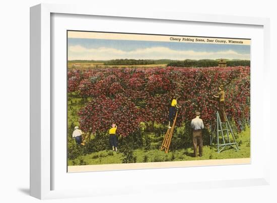 Cherry Picking, Door County, Wisconsin-null-Framed Art Print