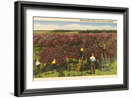 Cherry Picking, Door County, Wisconsin-null-Framed Art Print