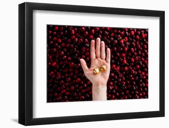 Cherry picking-Dina Belenko-Framed Photographic Print