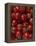 Cherry Tomatoes-Mark Gibson-Framed Premier Image Canvas