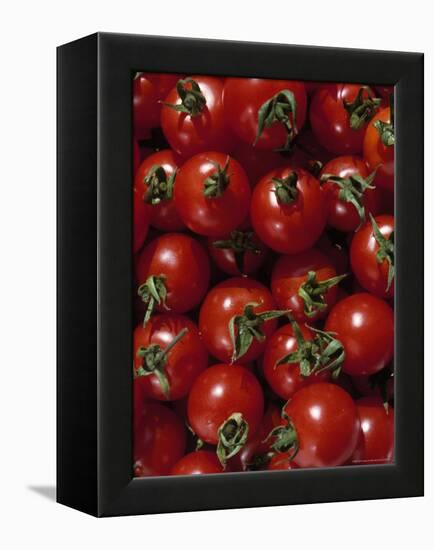 Cherry Tomatoes-Mark Gibson-Framed Premier Image Canvas