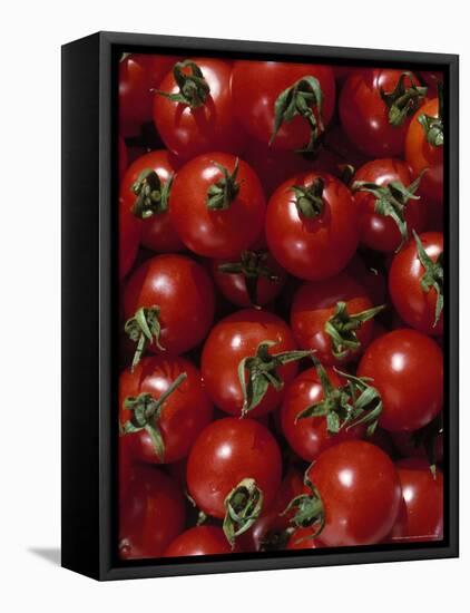 Cherry Tomatoes-Mark Gibson-Framed Premier Image Canvas