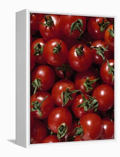 Cherry Tomatoes-Mark Gibson-Framed Premier Image Canvas