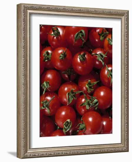 Cherry Tomatoes-Mark Gibson-Framed Photographic Print