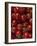 Cherry Tomatoes-Mark Gibson-Framed Photographic Print