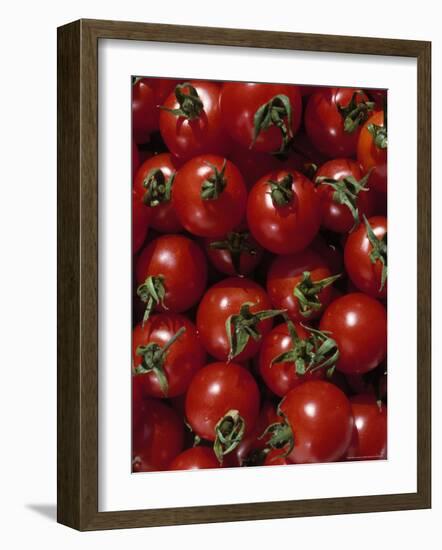 Cherry Tomatoes-Mark Gibson-Framed Photographic Print