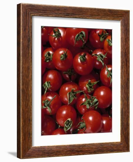 Cherry Tomatoes-Mark Gibson-Framed Photographic Print