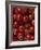 Cherry Tomatoes-Mark Gibson-Framed Photographic Print