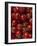 Cherry Tomatoes-Mark Gibson-Framed Photographic Print