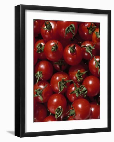 Cherry Tomatoes-Mark Gibson-Framed Photographic Print