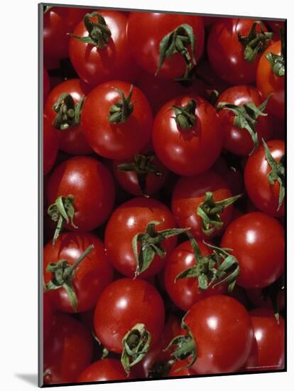 Cherry Tomatoes-Mark Gibson-Mounted Photographic Print