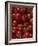 Cherry Tomatoes-Mark Gibson-Framed Photographic Print