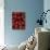 Cherry Tomatoes-Mark Gibson-Photographic Print displayed on a wall