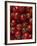 Cherry Tomatoes-Mark Gibson-Framed Photographic Print