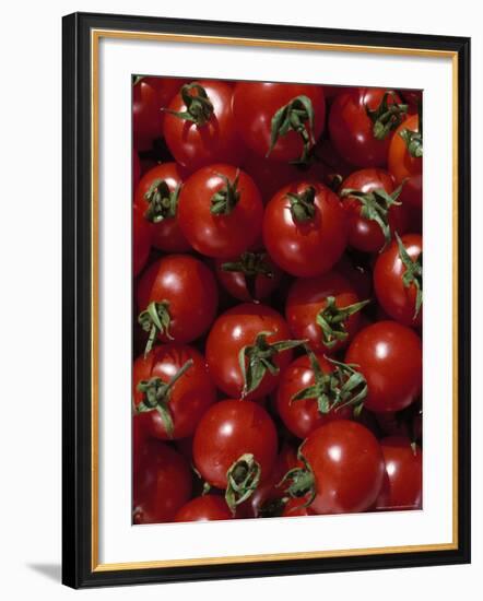 Cherry Tomatoes-Mark Gibson-Framed Photographic Print