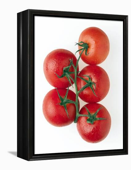 Cherry Tomatoes-Mark Sykes-Framed Premier Image Canvas