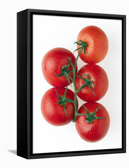 Cherry Tomatoes-Mark Sykes-Framed Premier Image Canvas