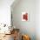 Cherry Tomatoes-Mark Sykes-Photographic Print displayed on a wall