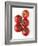 Cherry Tomatoes-Mark Sykes-Framed Photographic Print