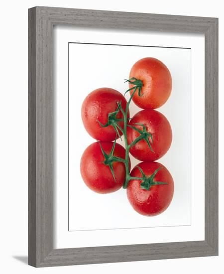 Cherry Tomatoes-Mark Sykes-Framed Photographic Print