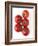 Cherry Tomatoes-Mark Sykes-Framed Photographic Print