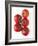 Cherry Tomatoes-Mark Sykes-Framed Photographic Print