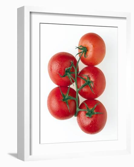 Cherry Tomatoes-Mark Sykes-Framed Photographic Print