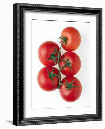 Cherry Tomatoes-Mark Sykes-Framed Photographic Print