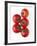 Cherry Tomatoes-Mark Sykes-Framed Photographic Print