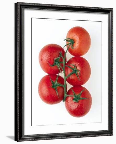 Cherry Tomatoes-Mark Sykes-Framed Photographic Print