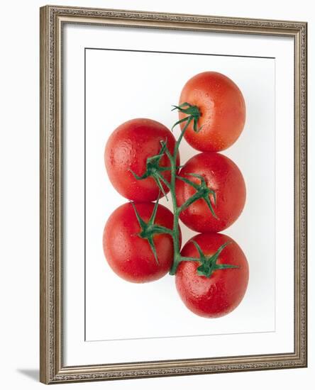 Cherry Tomatoes-Mark Sykes-Framed Photographic Print